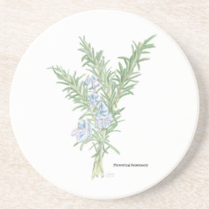 Posavasos Romero Florido