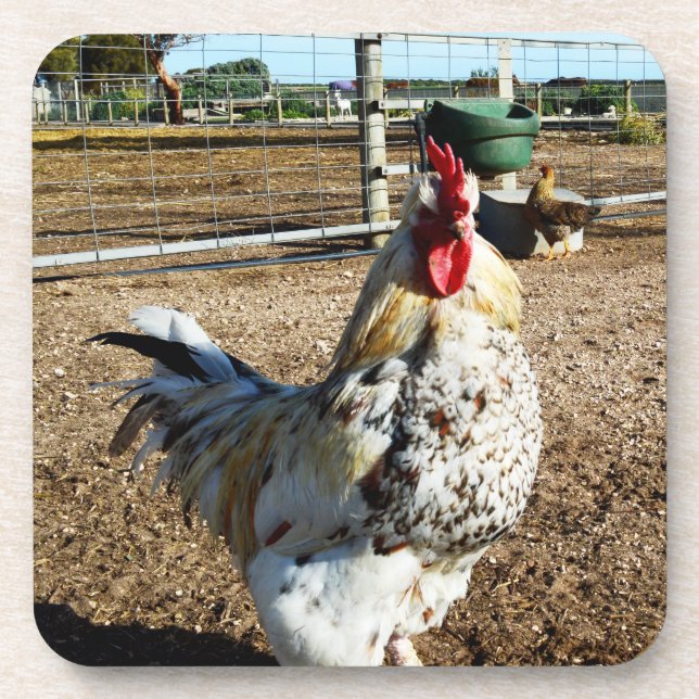 Posavasos Rooster Específico En Granja, Astillas (Frente)