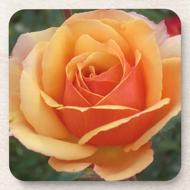 Posavasos Rosa (Frente)