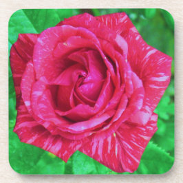 Posavasos Rosa