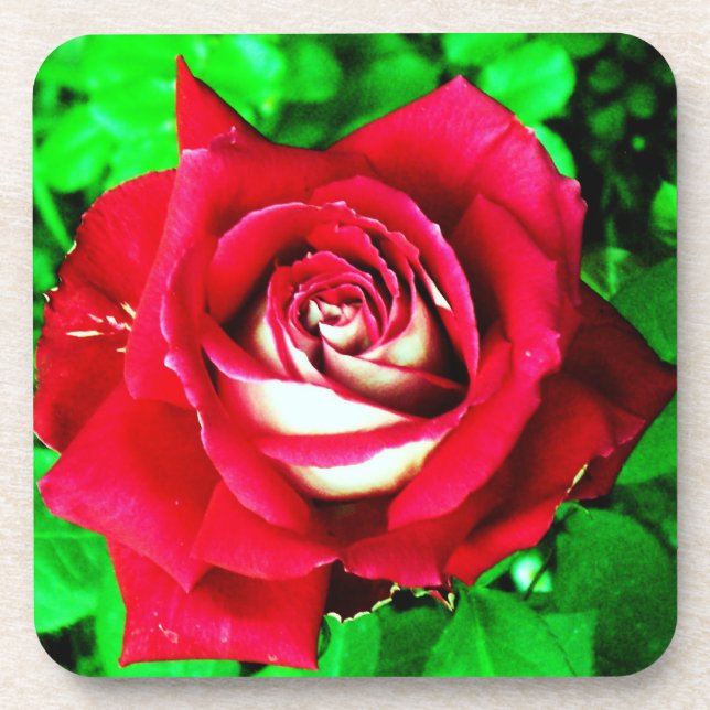Posavasos Rosa (Frente)