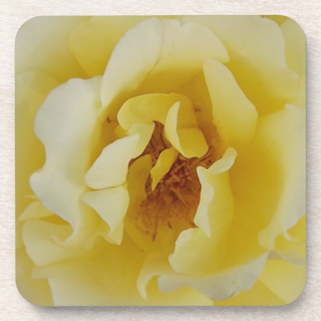 Posavasos Rosa amarilla (Frente)