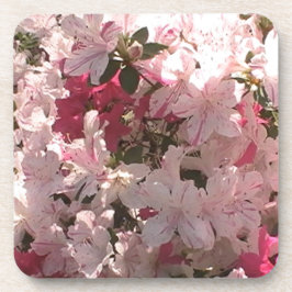 Posavasos Rosa Azalea