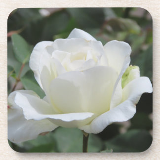 Posavasos Rosa Blanca