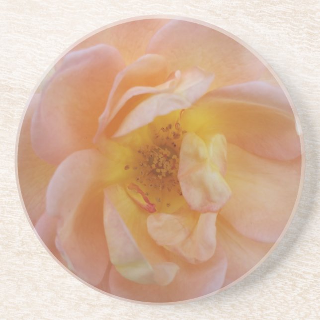 Posavasos Rosa Color Melocotón (Frente)