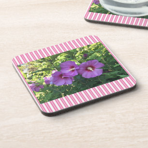 Posavasos Rosa de bonito de Sharon Foto Empresarios a rayas