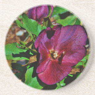 Posavasos Rosa de Cuaresma Rosa Borgoña