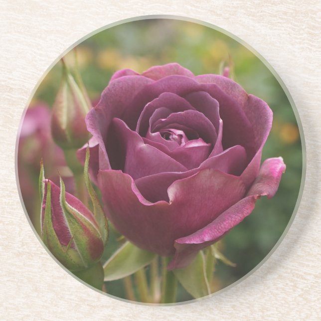 Posavasos Rosa de Iceberg de Borgoña #1-2 (Frente)