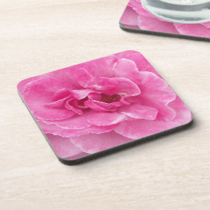 Posavasos Rosa de jardín rosa