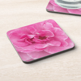 Posavasos Rosa de jardín rosa