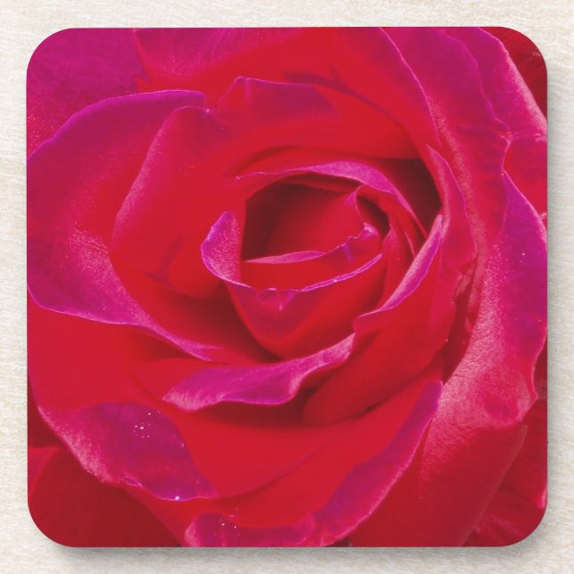Posavasos Rosa de Máster (Frente)