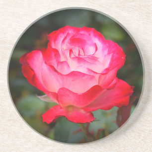 Posavasos Rosa de parafina cereza #3