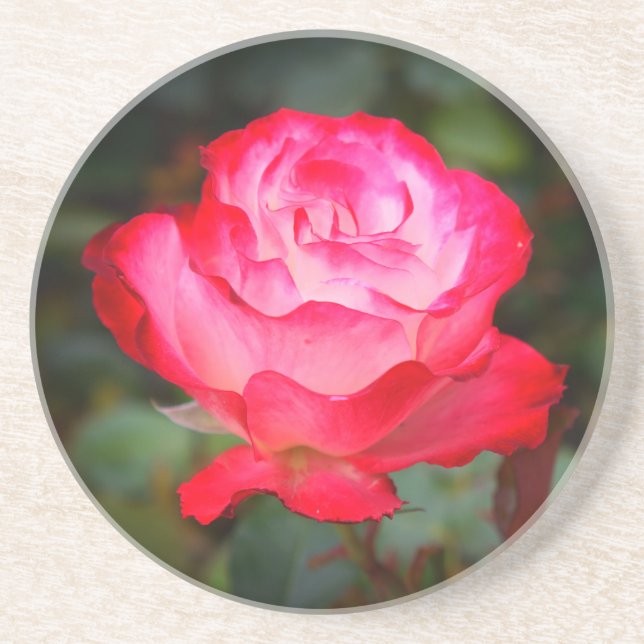 Posavasos Rosa de parfait de cerezo #3 escayola de piedra ar (Frente)