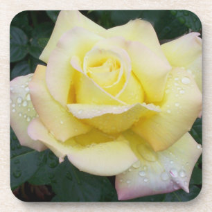 Posavasos Rosa de paz conjunto de escayas