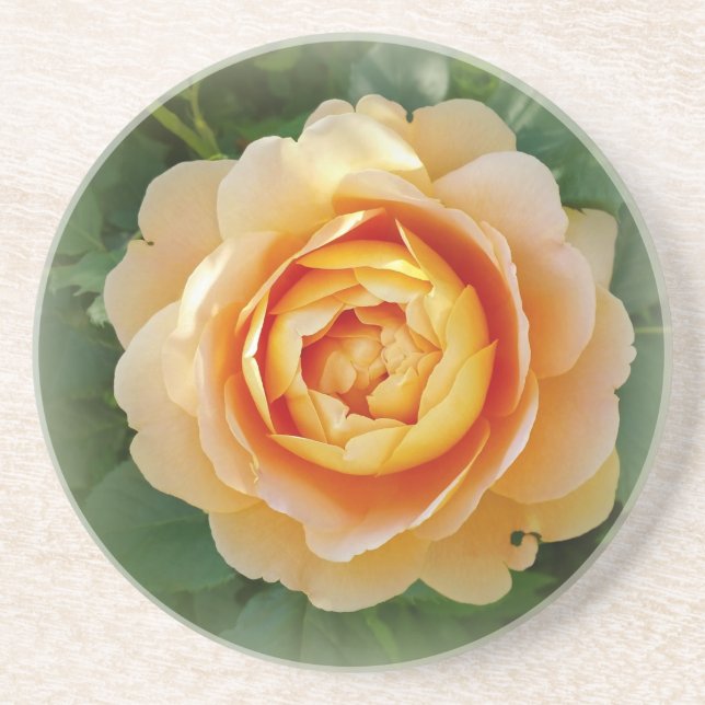 Posavasos Rosa dorado (Frente)