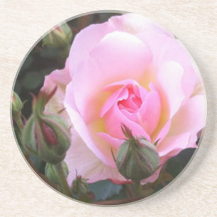 Posavasos Rosa inglés rosa perfecto