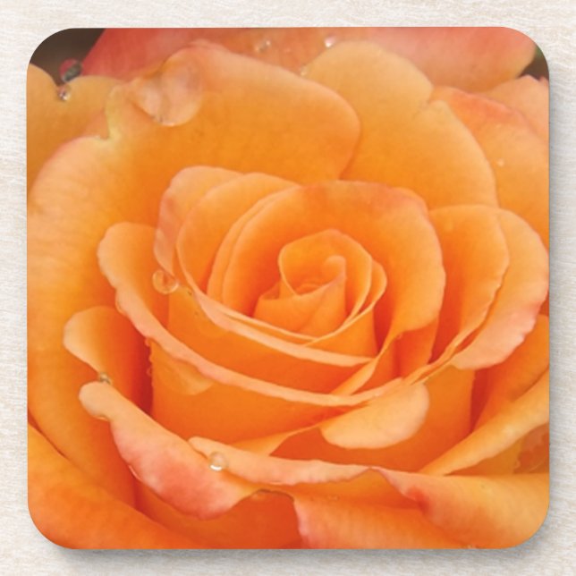 Posavasos Rosa naranja (Frente)