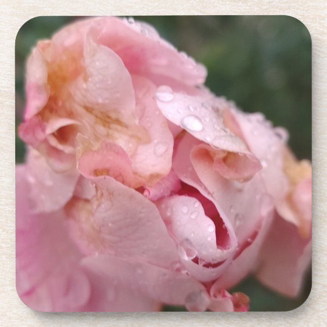 Posavasos Rosa Pálido (Frente)