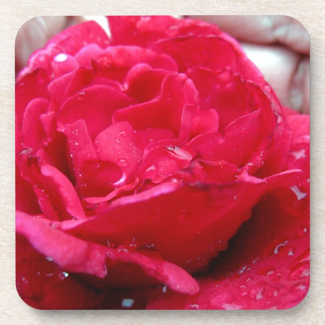 Posavasos Rosa Roja (Frente)