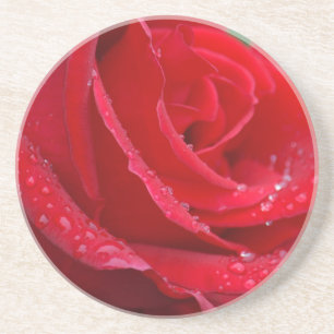 Posavasos Rosa roja solitaria florece