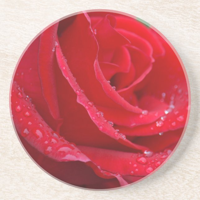 Posavasos Rosa roja solitaria florece (Frente)