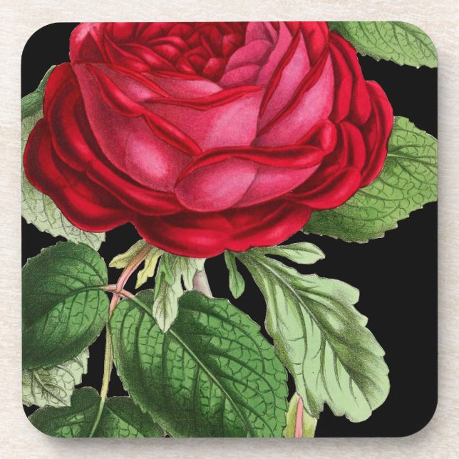 Posavasos Rosa rojo (Frente)