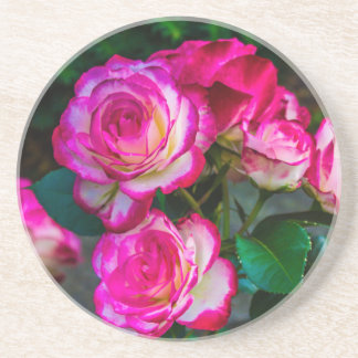 Posavasos Rosa rojo y blanco