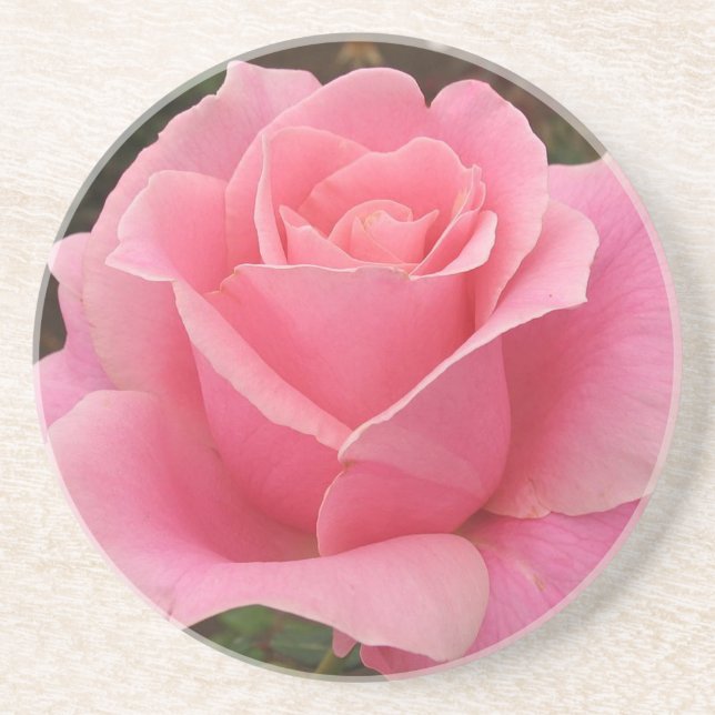 Posavasos Rosa rosa (Frente)