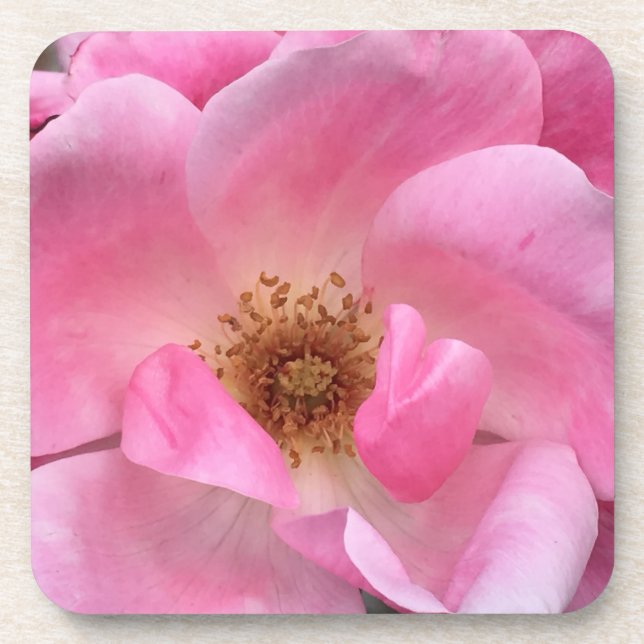 Posavasos Rosa rosa (Frente)