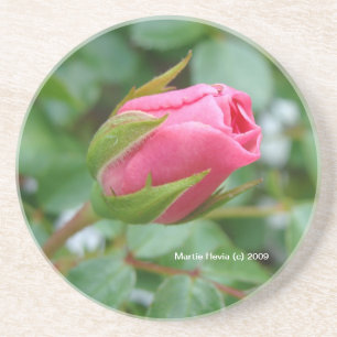 Posavasos Rosa Rosa Bud - escayola