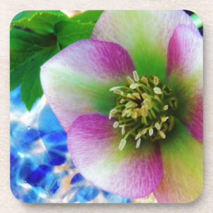Posavasos Rosa rosa de Cuaresma bola de vidrio azul