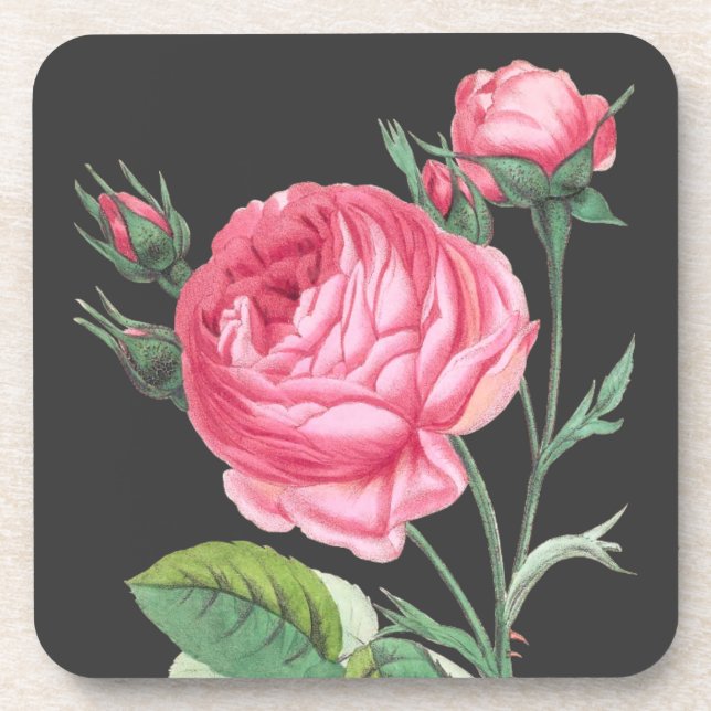 Posavasos Rosa rosa floral moderno (Frente)
