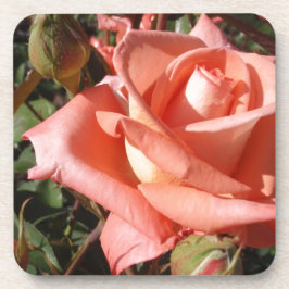 Posavasos Rosa Rosa Melocotón