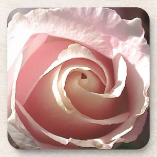 Posavasos rosa rosado bonito