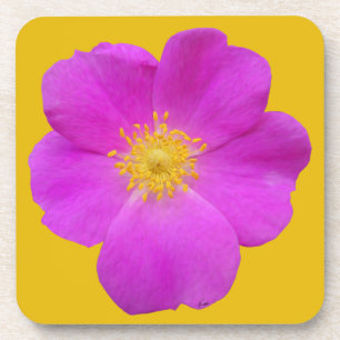 Posavasos Rosa salvaje 2