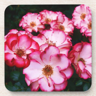 Posavasos Rosas