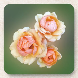 Posavasos rosas amarillas