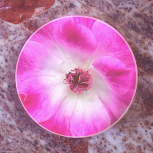 Posavasos Rosas de Iceberg Rosa