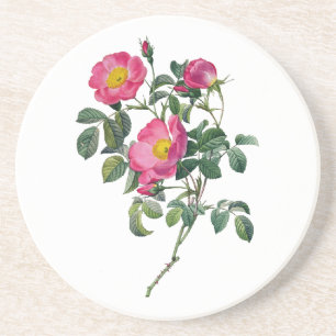 Posavasos Rosas de Pedro José Redoute