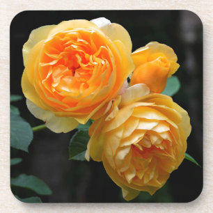 Posavasos Rosas ingleses amarillos