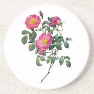 Posavasos Rosas Pierre Joseph Redoute