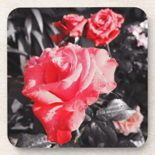 Posavasos Rosas rojas románticas