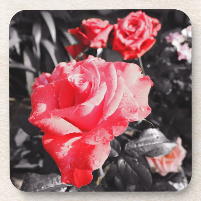 Posavasos Rosas rojas románticas (Frente)