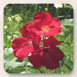 Posavasos Rosas rojos simples