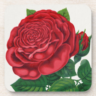 Posavasos Rose Print Rochester Lithographing and Printing Co