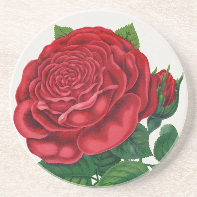 Posavasos Rose Print Rochester Lithographing and Printing Co (Frente)