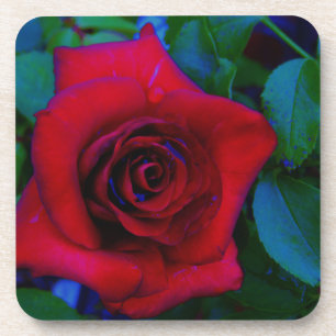 Posavasos Roses rojos con tonos azules