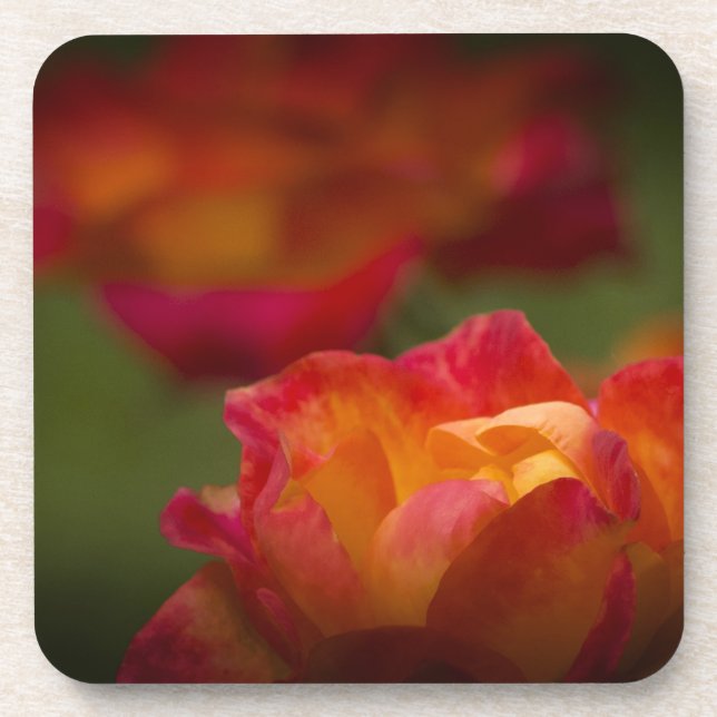 Posavasos Rosey Cork Coaster (Frente)