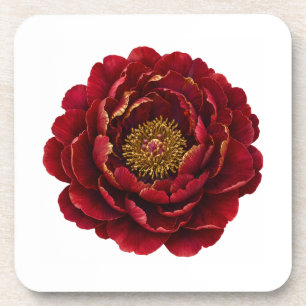 Posavasos Royal Persian Gold Filigrana   Botánica de Lujo 