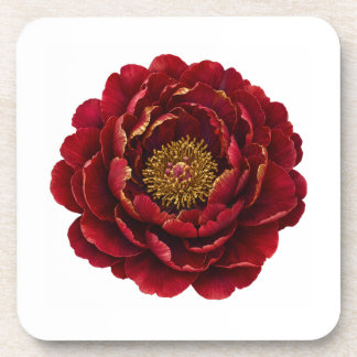 Posavasos Royal Persian Gold Filigrana | Botánica de Lujo